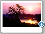Dawn_over-Ruaha